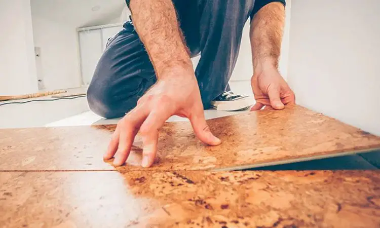 Pros And Cons Of Cork Backed Vinyl Flooring