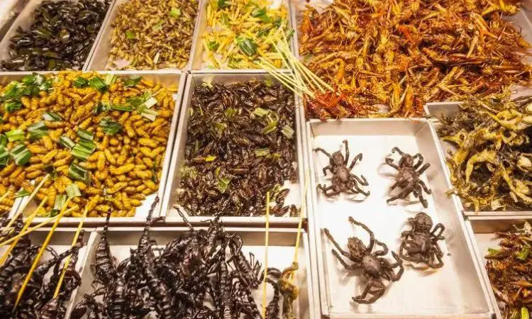 Pros And Cons Of Eating Insects