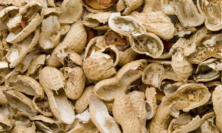 Pros And Cons Of Eating Peanut Shells