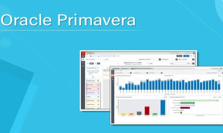 Pros And Cons Of Primavera