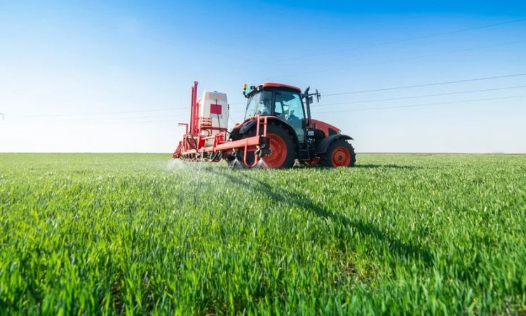 Pros And Cons Of Antibiotics In Agriculture