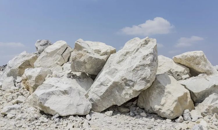 Pros and Cons of Limestone