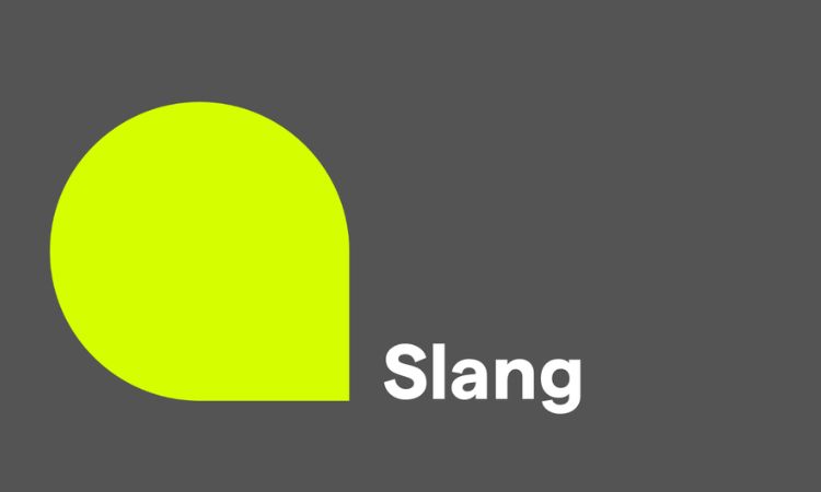 Pros And Cons Of Slang